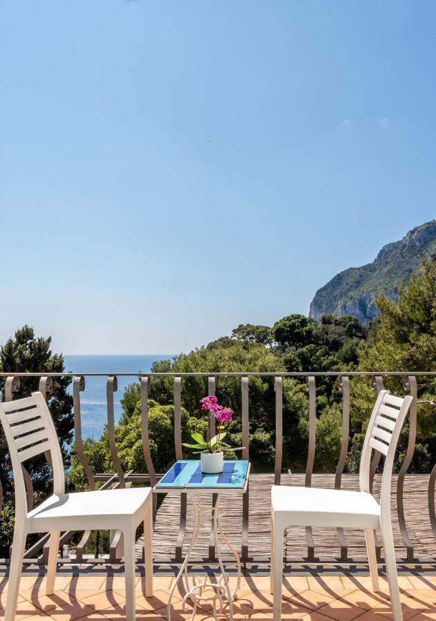 Oliveto Capri Apartments Kültér fotó