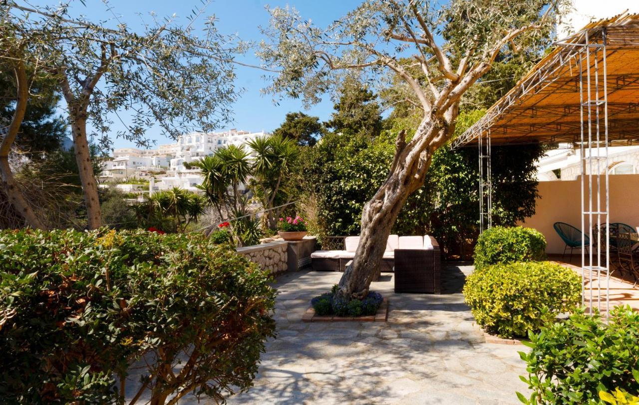 Oliveto Capri Apartments Kültér fotó